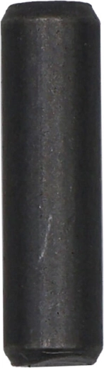 Scharnierpen 9 × 32 mm – vervangonderdeel (10 stuks)