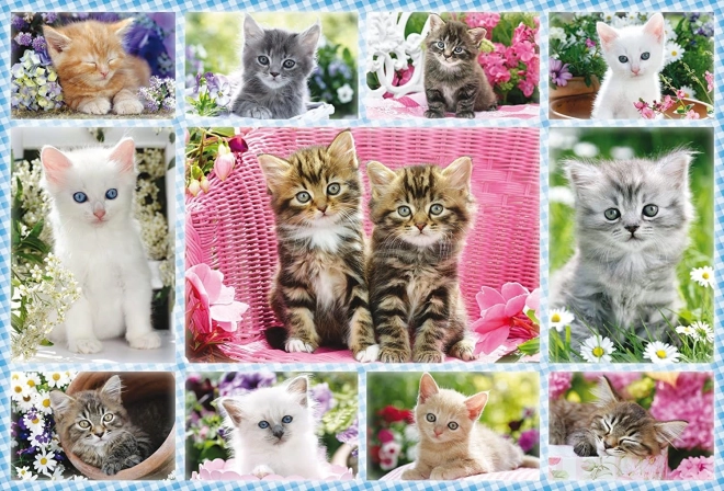 Puzzel kittens 100 stukjes