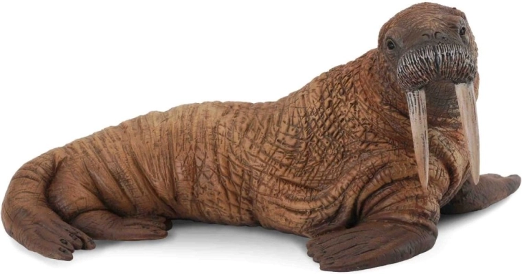 Collecta walrus figuur