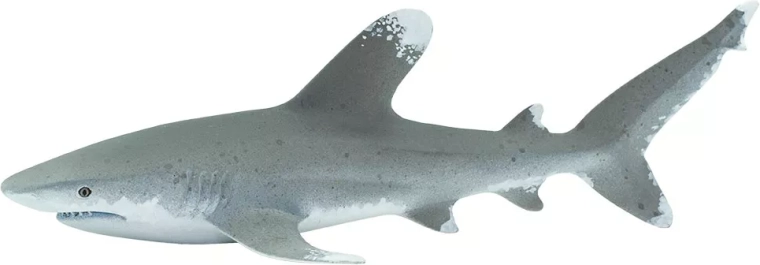Figurine van de langvinhaai Safari Ltd. - 1 stuk