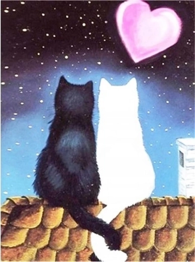 Norimpex diamond painting Kattenliefde 30 × 40 cm
