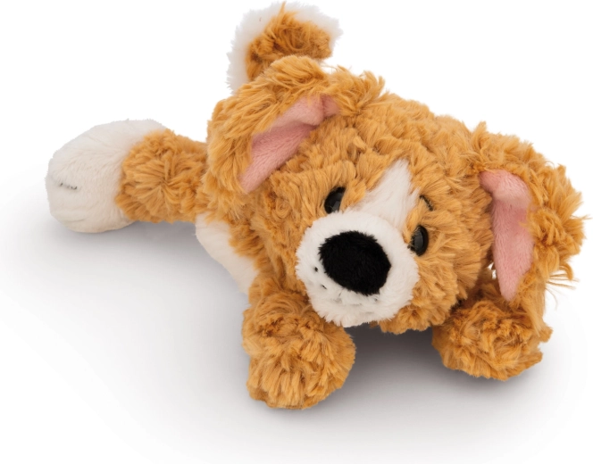 NICI pluche bruine hond liggend Green