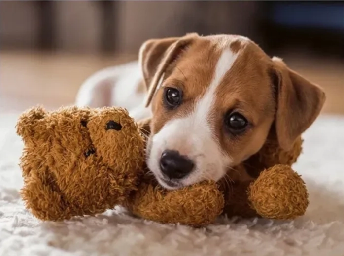 Ravensburger puzzel Warme omhelzing 500 stukjes