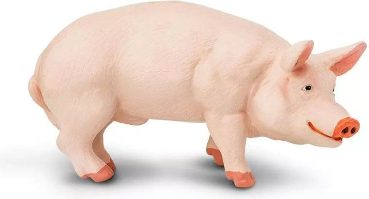 Figurine biggetje (huisvarken) Safari Ltd.
