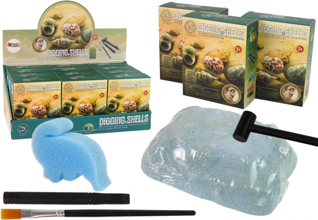 Archeologieset – schelpen opgraven, 3 verrassingsmodellen