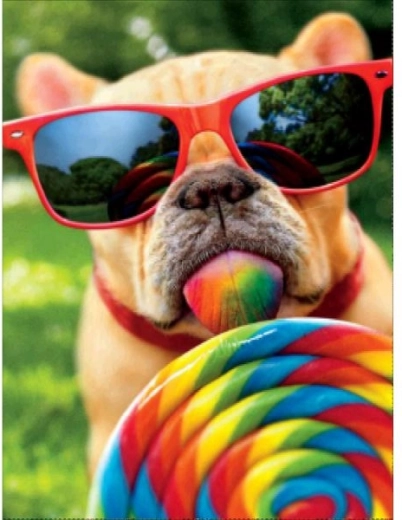 Diamantschilderen – hond met bril 30 × 40 cm
