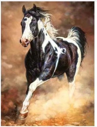 Norimpex Schilderen op nummer - Galopperend paard in het zand 40 × 50 cm