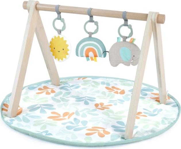 Ingenuity speelkleed Sun Valley met houten babygym