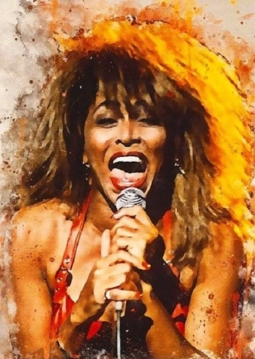 Norimpex diamond painting Tina Turner zingt 30 × 40 cm