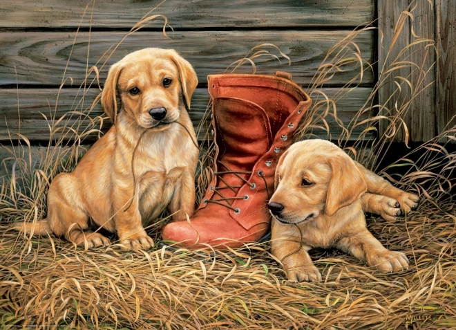 EuroGraphics puzzel puppy’s met oude schoen 1000 stukjes