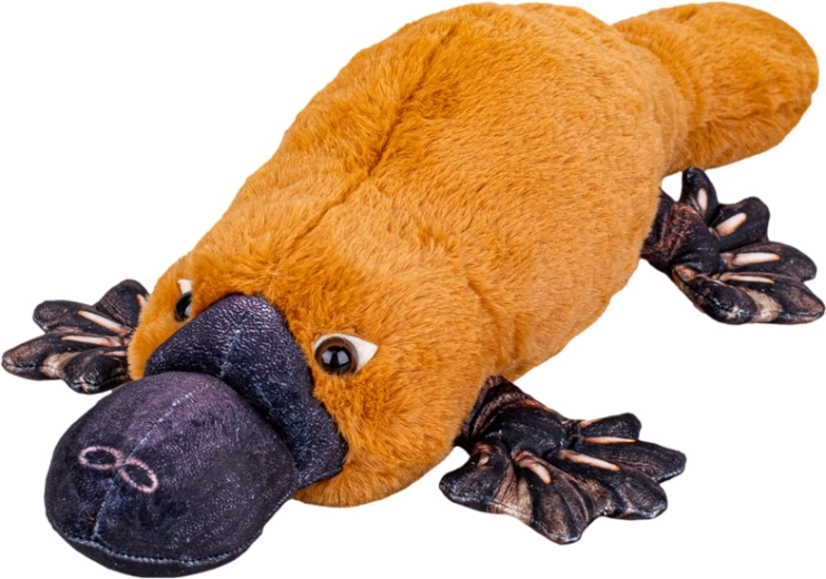 Pluchen vogelbekdier 50 cm – superzachte liggende knuffel