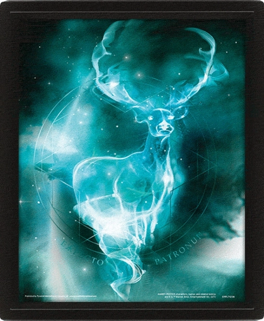 3D schilderij Harry Potter - Patronus