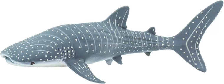 Safari Ltd. walvishaai figuur - 1 stuk