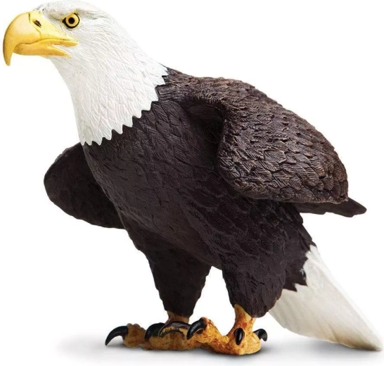 Safari Ltd. zeearend figuur - 1 stuk