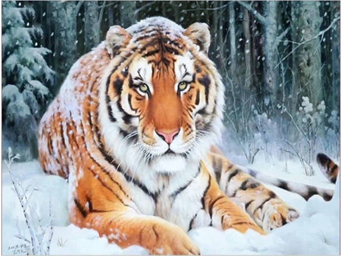 Diamond painting Tijger liggend in de sneeuw 30 × 40 cm
