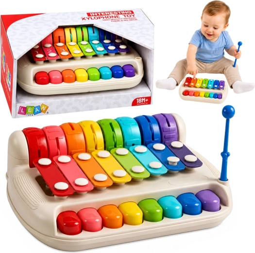 Kinderxylofoon en piano 2-in-1 met stokje