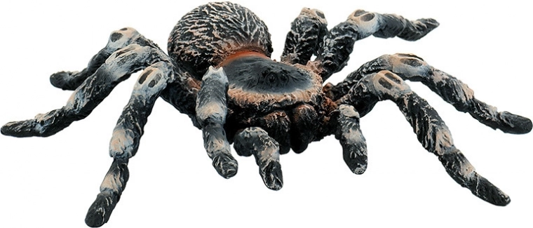 Witte tarantula