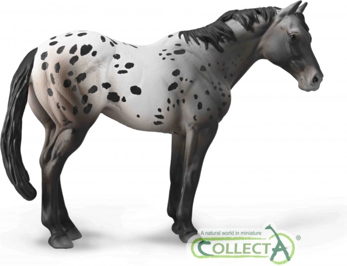 Figuur paard Appaloosa blue roan COLLECTA