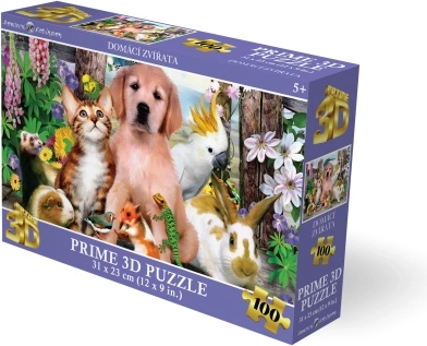 3D-puzzel huisdieren 100 stukjes