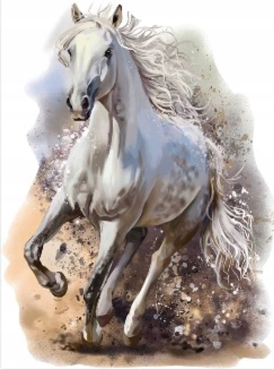 Norimpex diamantpainting steigeren wit paard 30 × 40 cm