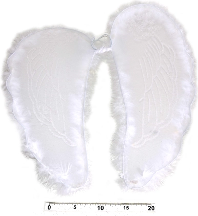 Engelenvleugels met veren 47 × 47 cm