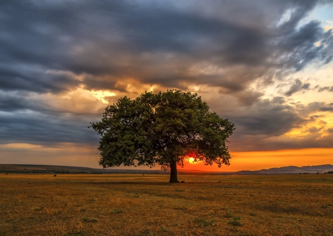 Puzzel Schemering 1000 stukjes ENJOY