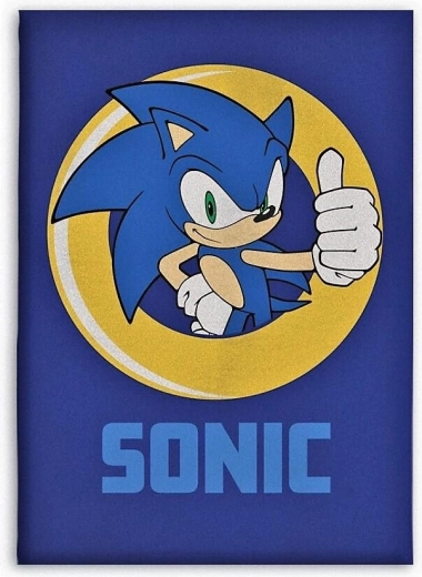 Fleece deken Sonic