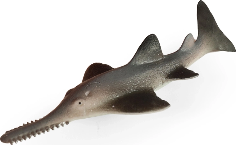 Zeevis zaagvis 14 cm