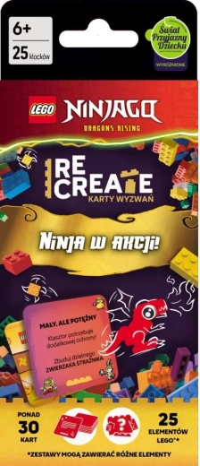 LEGO NINJAGO Uitdagingenkaarten: Ninja in actie