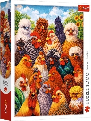 Puzzel Kury 1000 stukjes