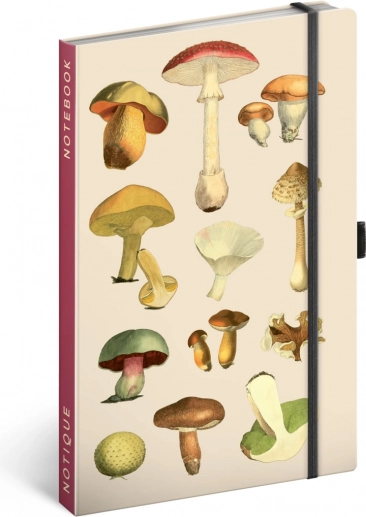 Notitieboek Paddenstoelen van Kateřina Winterová, gelijnd, 13 × 21 cm