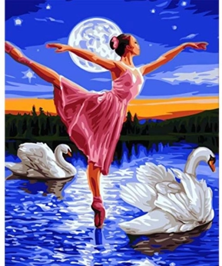 Schilderen op nummer op frame 40 × 50 cm – Zwanenmeer