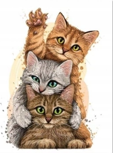 Diamantschilderen Kattenpiramide 30 × 40 cm