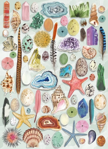 Gibsons Puzzel Natuurlijke Curiosa 1000 Stukjes