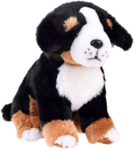 Pluche hond Berner Sennen - zittend 20 cm