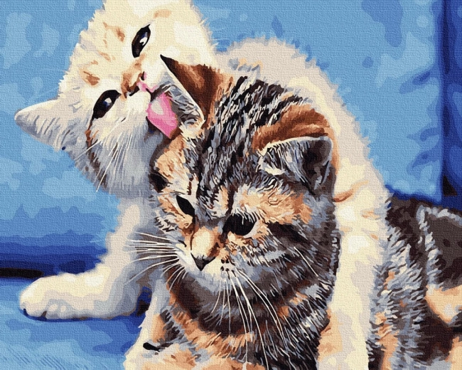 Diamond painting Kattenvriendschap 30 × 40 cm