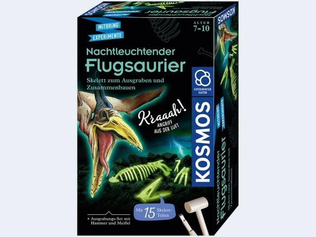 Kosmos in het donker lichtgevende vliegende hagedis