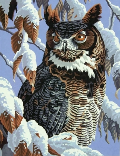 Norimpex Schilderen op nummer Uil op een besneeuwde tak 40 × 50 cm