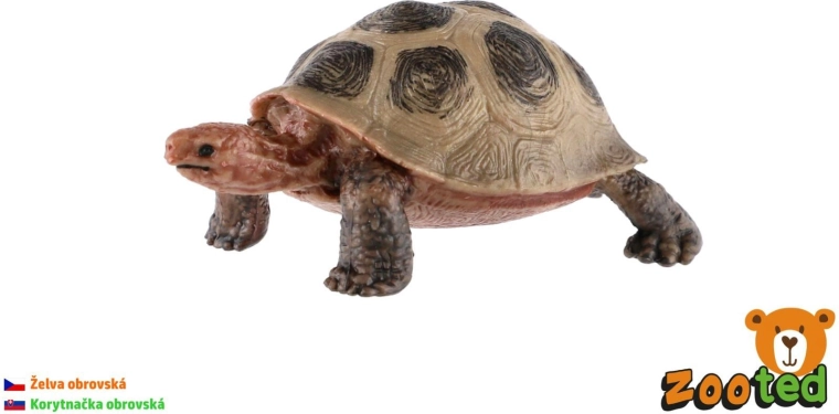 Figur van een reuzenschildpad van 8 cm