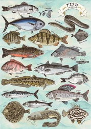 Puzzel TREFL Premium Plus Finders Keepers: vissen 500 stukjes