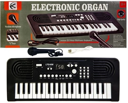 Kinderorgel (keyboard) met microfoon - 1 stuk