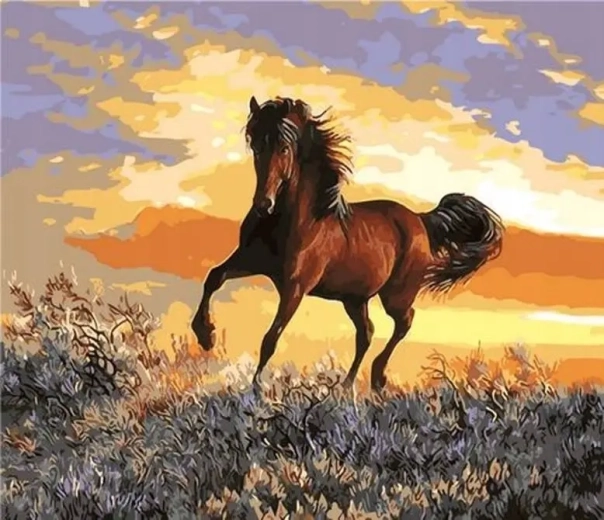 Norimpex schilderen op nummer Paard bij zonsondergang 40 × 50 cm