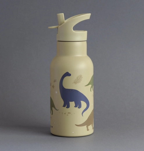 Roestvrijstalen drinkfles met dinosaurusmotief - 350 ml