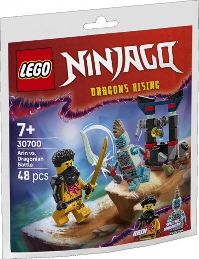 Klocky NINJAGO Arins gevecht met draak