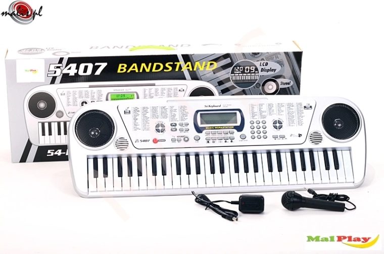 Elektronisch orgel met microfoon, 54 toetsen