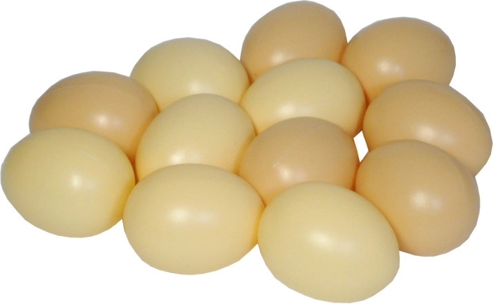 Set van 12 plastic speel-eitjes