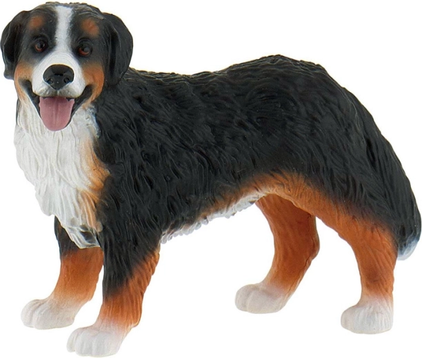 Berner Sennenhond