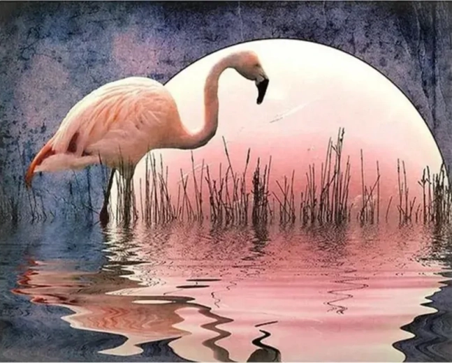 Norimpex Schilderen op nummer Flamingo 40 × 50 cm