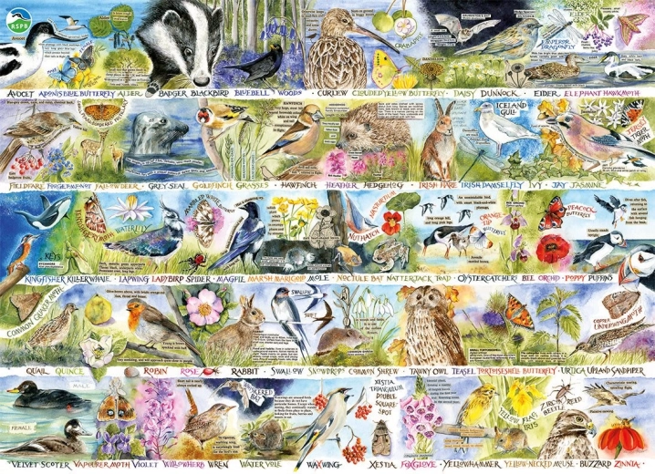 Puzzle GIBSONS RSPB betovering van de lentigehuchten 1000 stukjes