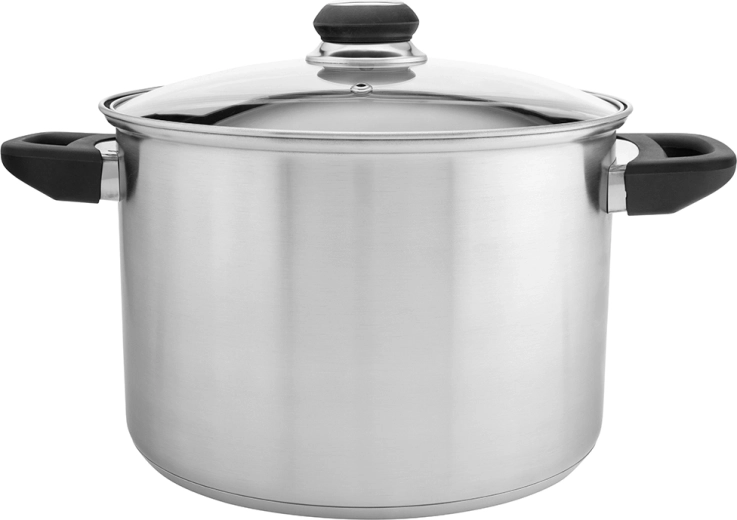 Emilio hoge roestvrijstalen kookpot 7 l met glazen deksel